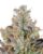 Kosher Kush Feminised  Seeds